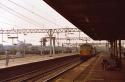 87001 At Nuneaton. 13.08.1984.