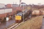40106_on_shed_at_springs_branch