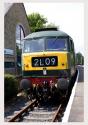 Duff At Rawtenstall 27/07/13