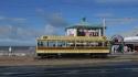 Trams At The North Pier