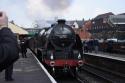 Sir Lamiel Arrives At Bury 20/02/2010