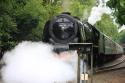 Duchess Of Sutherland At Wymondham Abbey 26-6-2016