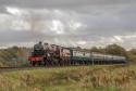 East Lancs Autumn Gala