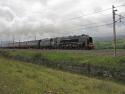 Making Light Work Of Shap