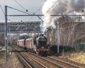 Cotton Mills Express