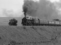 Carlisle In A Hurry