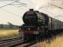 "lizzie" On The Cme#2