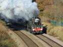 Tin Pot Photo Of The Tin Bath Special At Blackrod