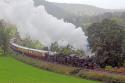 A Welsh Steam Odyssey - Day 8 Llangollen