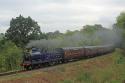 More Of The Blue Engine