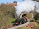 North Yorks Moors Spring Gala