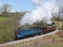 North Yorks Moors Spring Gala