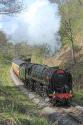 North Yorks Moors Spring Gala
