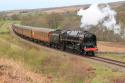 North Yorks Moors Spring Gala