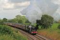Duchess On The C.m.e.