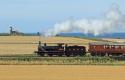 Steel,  Steam, Stubble, Sea, Sails And Sunshine