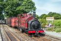 Ffestiniog Rly Linda & Blanche's 125th Birthday Bash - 22 Locos In Steam