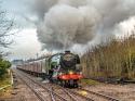 The Flying Scotsman Christmas Dalesman