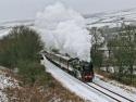 The Elusive Braunton