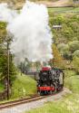 Haworth 40s Event