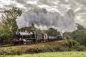 Svr Autumn Gala
