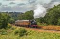 Severn Valley Rly Autumn Steam Gala 2017