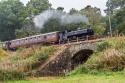 Severn Valley Rly Autumn Steam Gala 2017