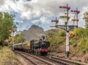 Severn Valley Railway Autumn Steam Gala 2018
