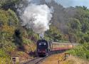 Severn Valley Rly Autumn Gala 2019