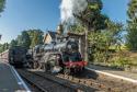 Severn Valley Rly Autumn Gala 2019