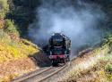 Severn Valley Rly Autumn Gala 2019