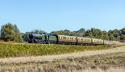 Severn Valley Rly Autumn Gala 2019