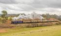 Severn Valley Railway Spring Gala 2018