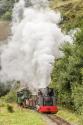 Threlkeld Quarry Steam Gala 2016