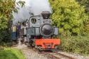 West Lancs Light Railway Autumn Gala