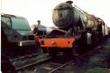 Barry Scrapyard