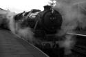 Black And White In Wales