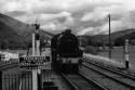 Black And White In Wales 2