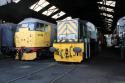 Shed Mates