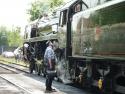 9f In Green