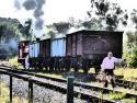 Shunting