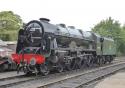 Royal Scot