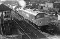 Class 44s