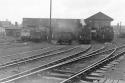 Northwich Shed