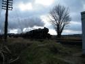 Renumbered 48305 Leaves Quorn
