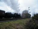 Renumbered 48305 Leaves Quorn