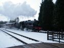 45231 At Rothley In The Snow