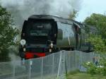 tangmere on the royal wessex