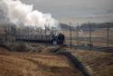 Oliver Cromwell
