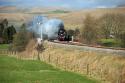 Tangmere Re-test